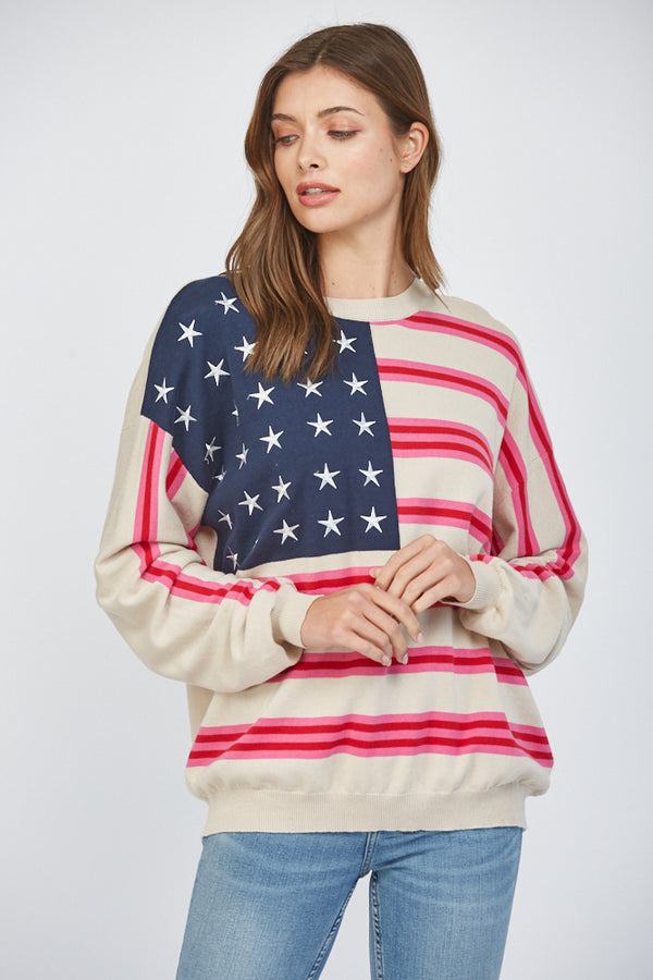 American Flag Motif Crew Neck Sweater Taupe
