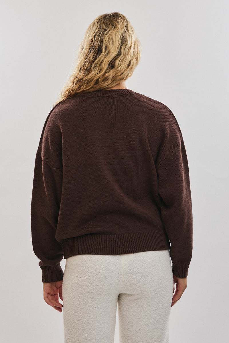 Crew Neck Christmas Dog Graphic Sweater Brown