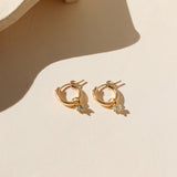 Quinn Hoops