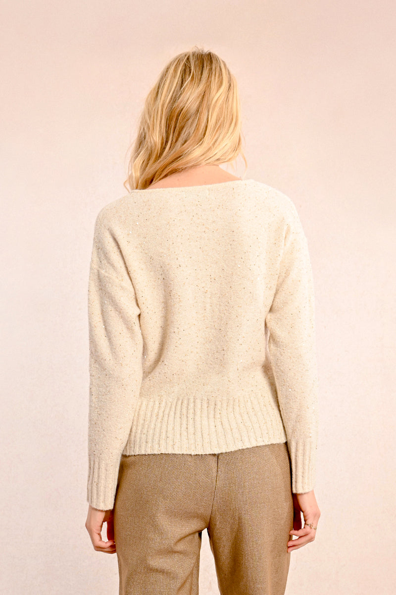 Sparkled Details Ribbed Hem Vneck Sweater