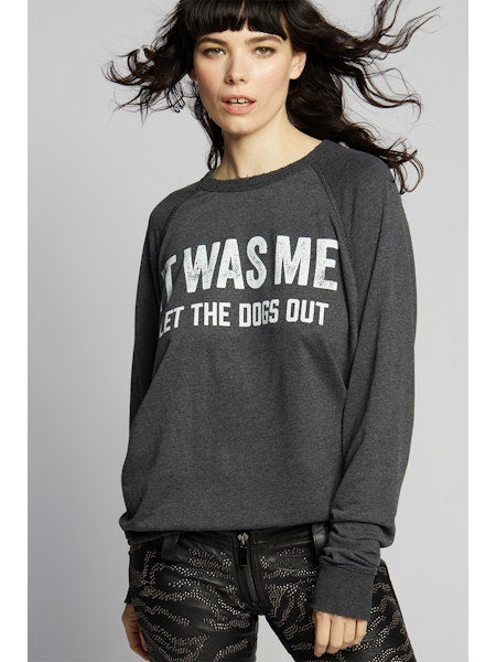 It Was Me Who Let The Dogs Out Sweatshirt Black