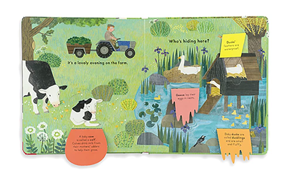 Who's Hiding On The Farm? Book