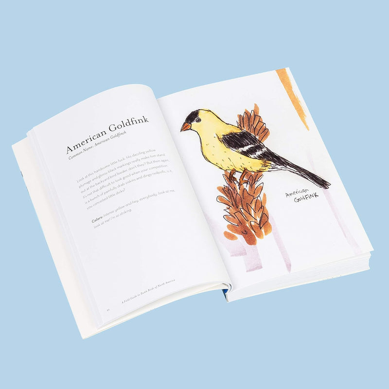 The Field Guide To Dumb Birds: North America Book