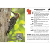 Birds of Wisconsin Field Guide: 3rd Edition Book