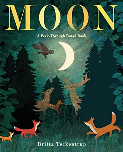 Moon: A Peek Through Board Book