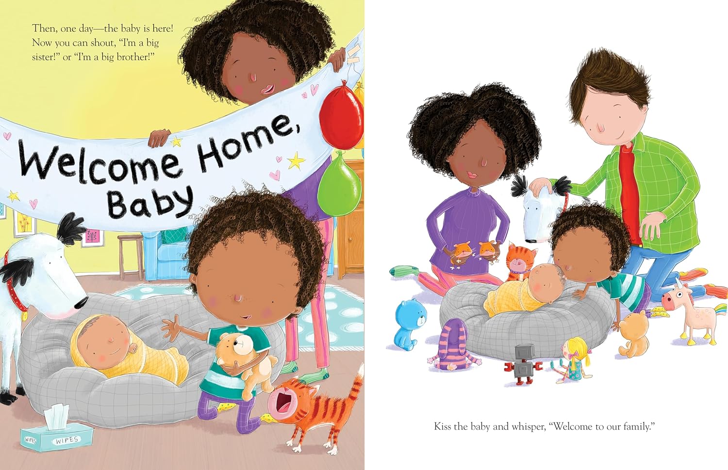 How To Welcome A New Baby Board Book