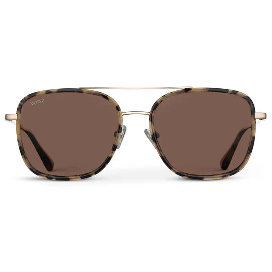 Gia Sunglasses