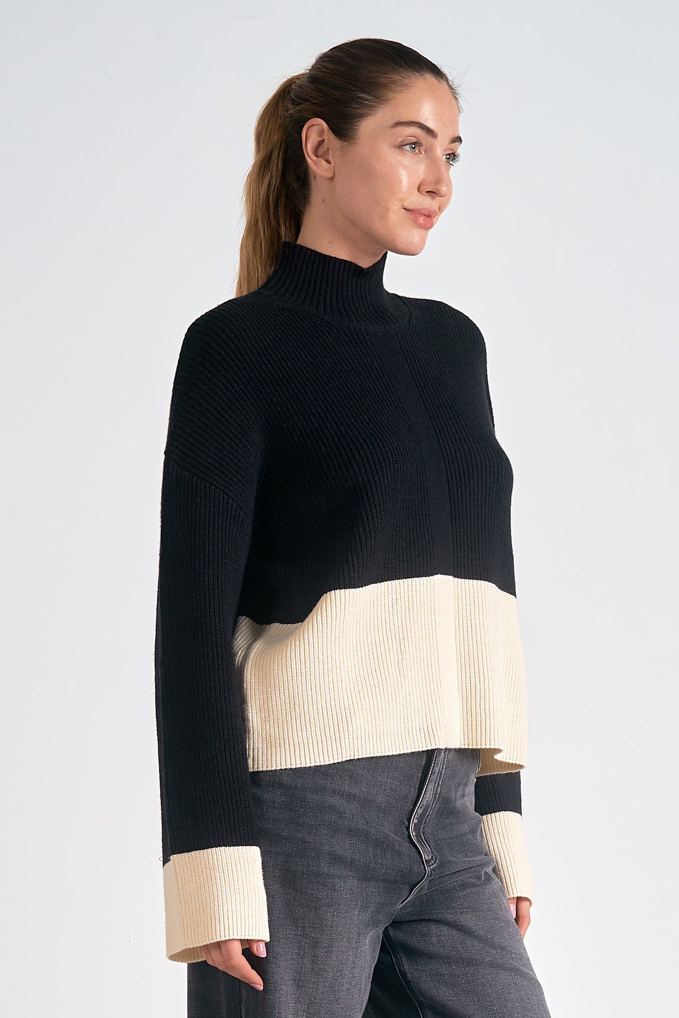 Color Block Turtleneck Ribbed Sweater Black + White