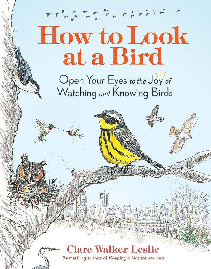 How To Look At A Bird: Open Your Eyes To The Joy