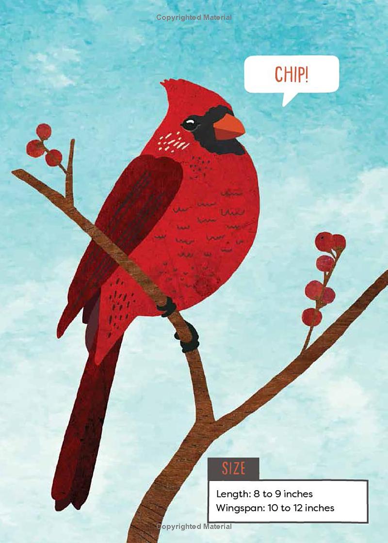 A Kid's Guide to Backyard Birds Book