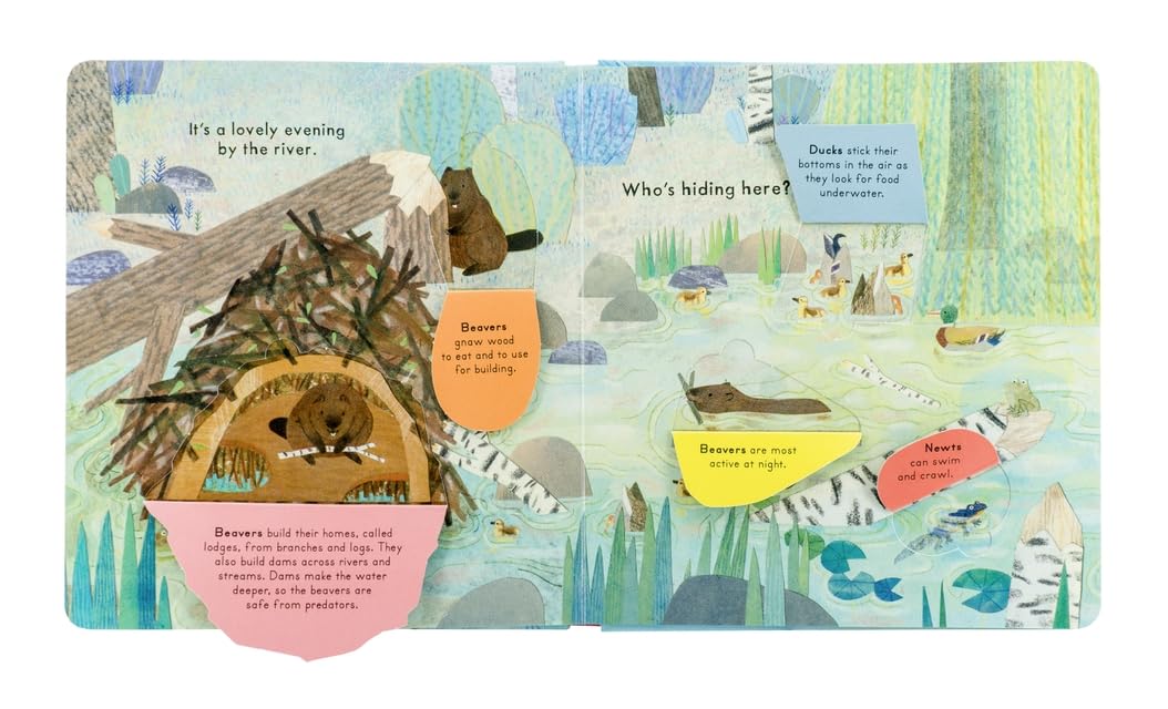 Who's Hiding On The River? Book