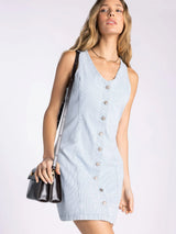 Irving Dress Blue White Microstripe