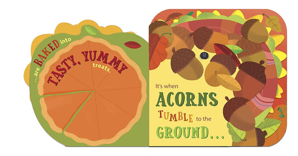 What Is Fall? Board Book