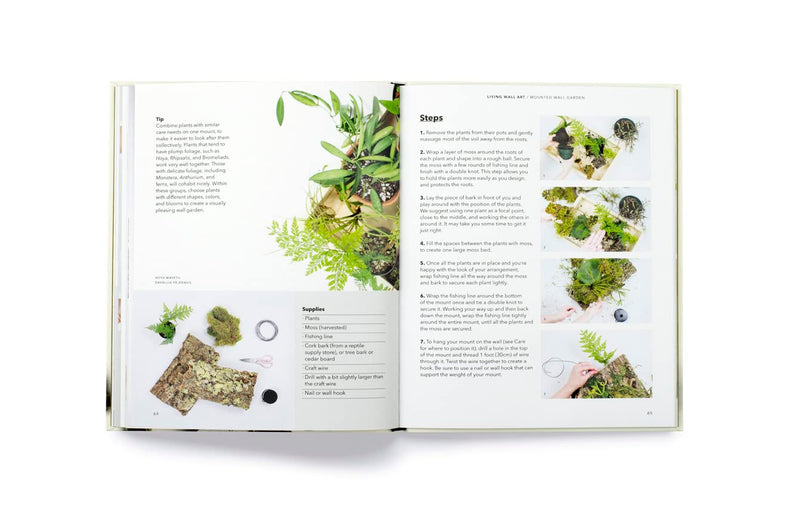 How To Plant A Room & Grow A Happy Home Book