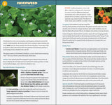 Foraging in North America Quick Guide