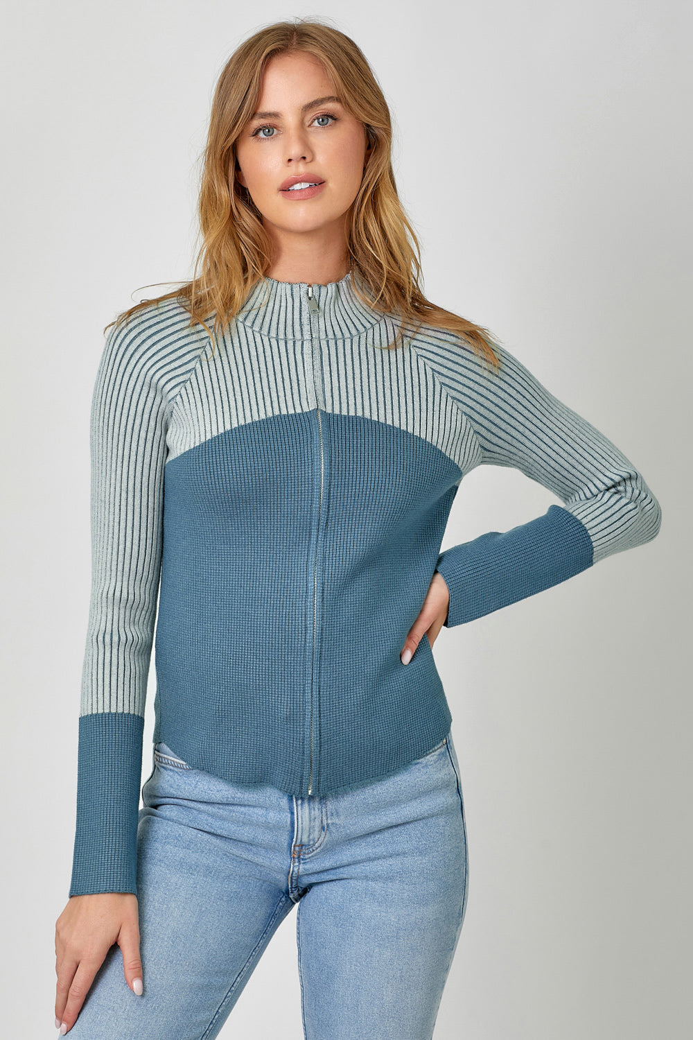 Stripe Contrast Fitted Mock Neck Zip Up Sweater Blue
