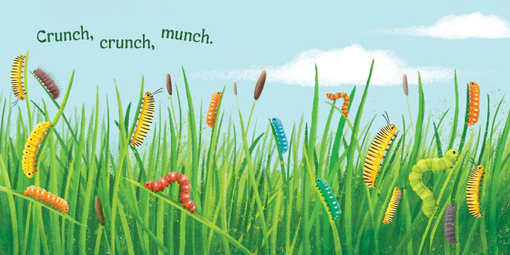 Butterflies Soar Board Book