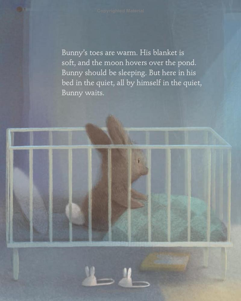 Bunny Should Be Sleeping Hardcover Book