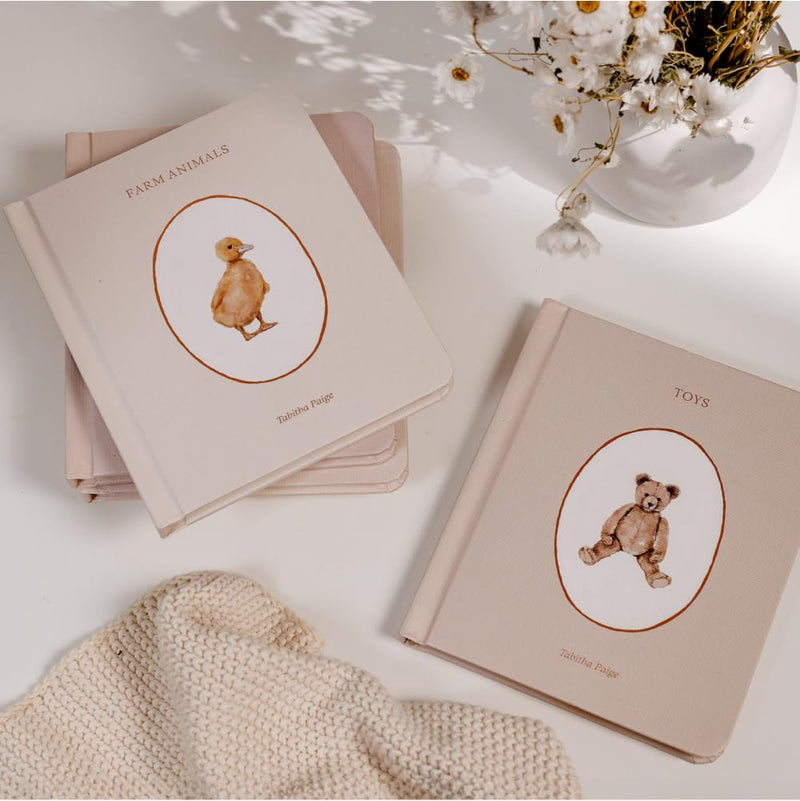 Our Little Library Vol. 1: A Vocabulary Board Book Set For Babies
