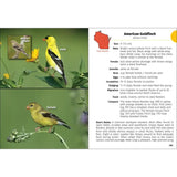Birds of Wisconsin Field Guide: 3rd Edition Book