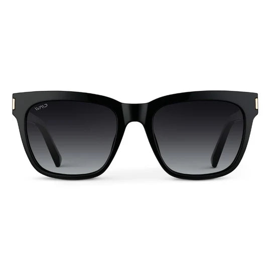 Dakota Sunglasses Glossy Black | Black Gradient