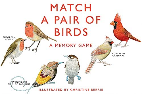 Match A Pair of Birds Game