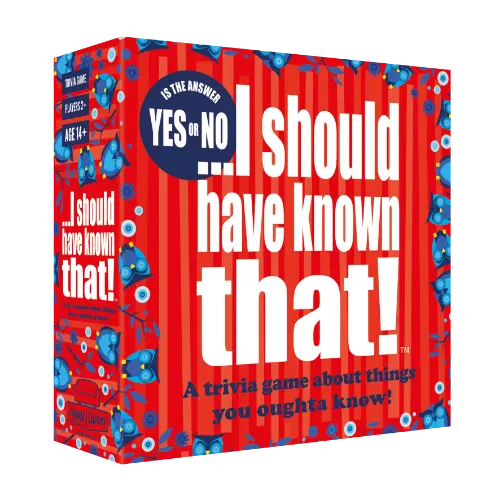 I Should Have Known That! Yes or No - Game