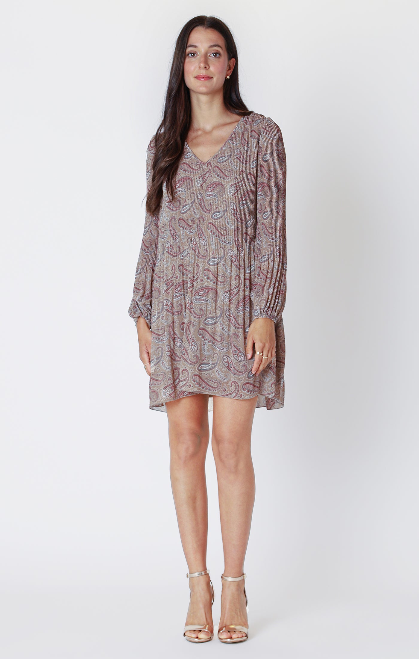 Long Sleeve Pleated A Line Dress Neutral Paisley