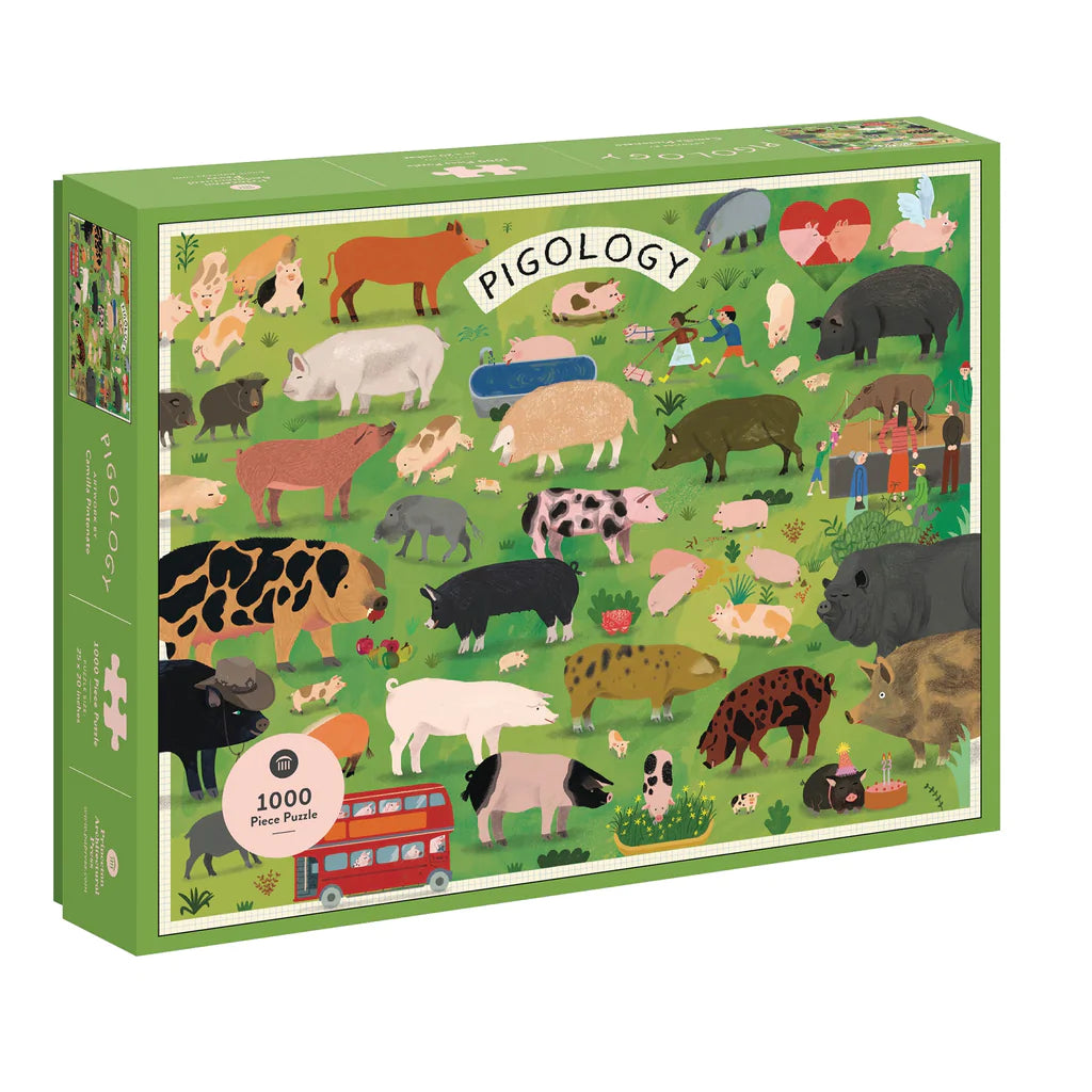 Pigology Puzzle