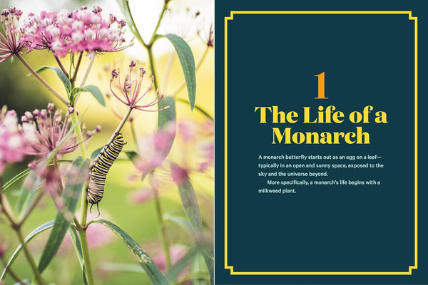 100 Plants To Feed The Monarch Book