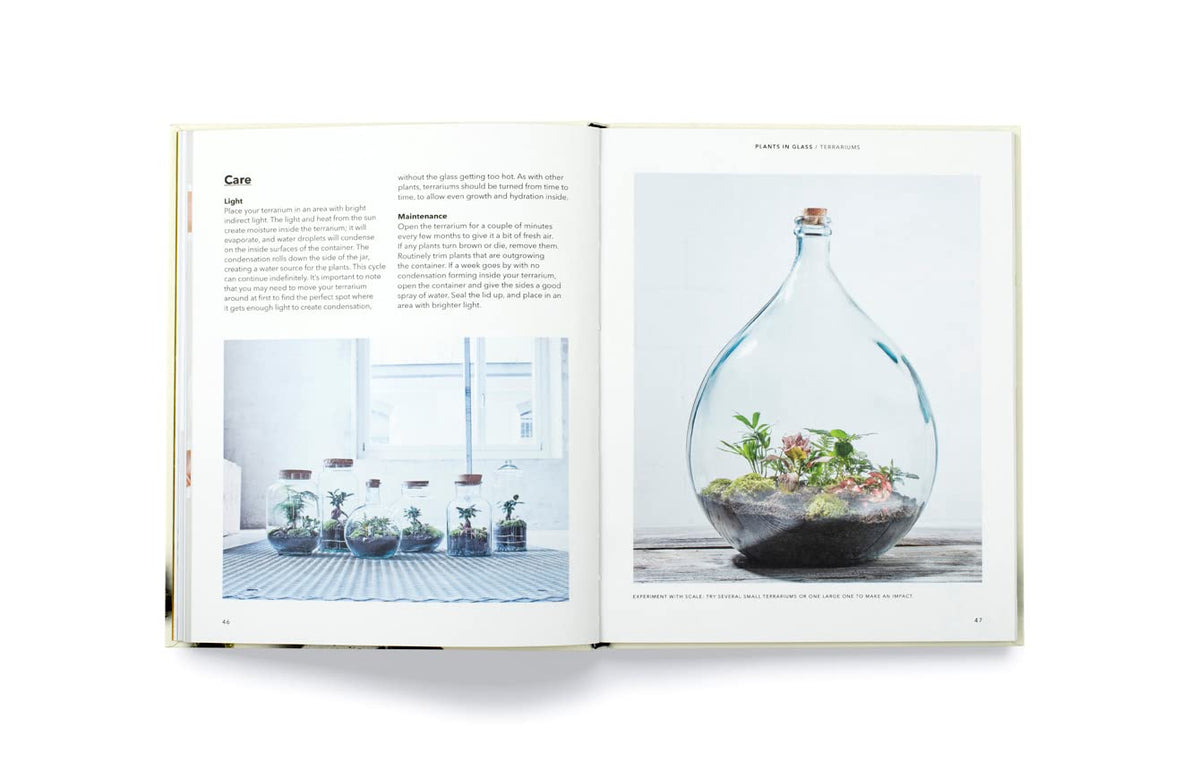 How To Plant A Room & Grow A Happy Home Book