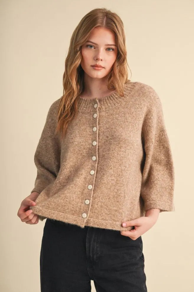 Short Sleeve Boxy Sweater Cardigan Mocha Brown