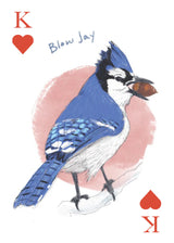 Field Guide to Dumb Birds Playing Cards