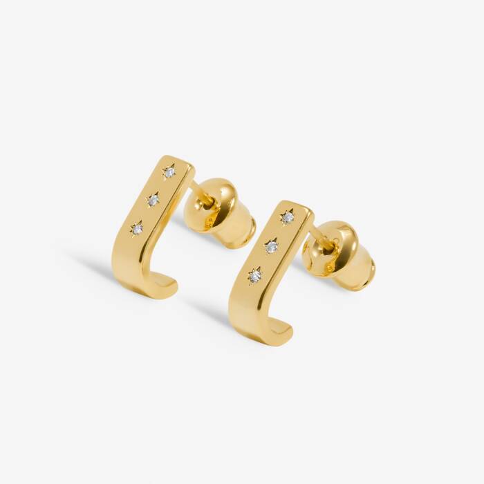 Style Stories Earrings