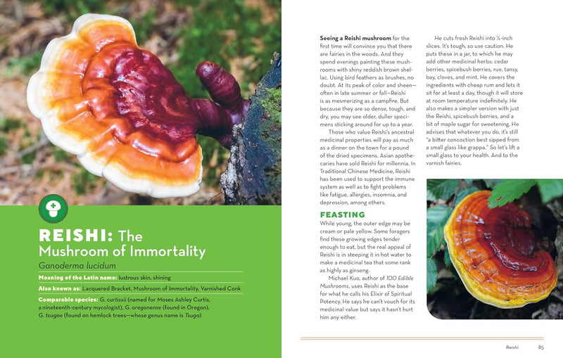 How To Forage For Mushrooms Without Dying Book