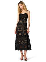 Willow Lace Midi Dress Black