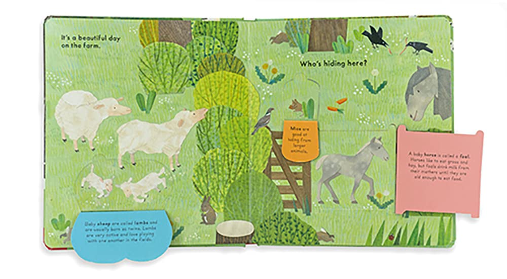 Who's Hiding On The Farm? Book
