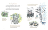 How To Look At A Bird: Open Your Eyes To The Joy