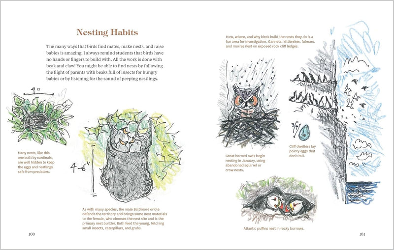 How To Look At A Bird: Open Your Eyes To The Joy