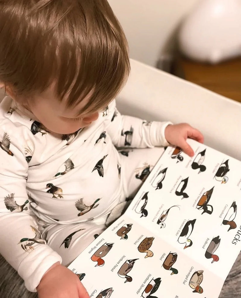 Duck Hunt Board Book