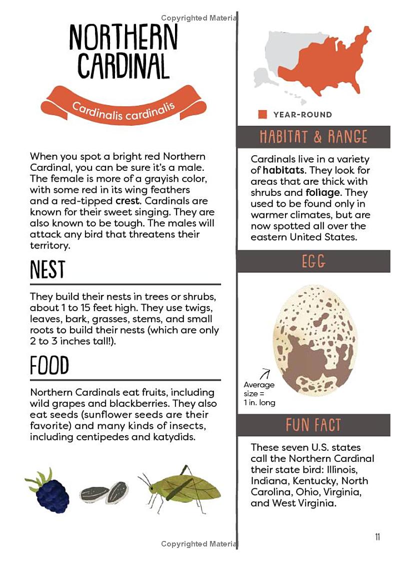 A Kid's Guide to Backyard Birds Book
