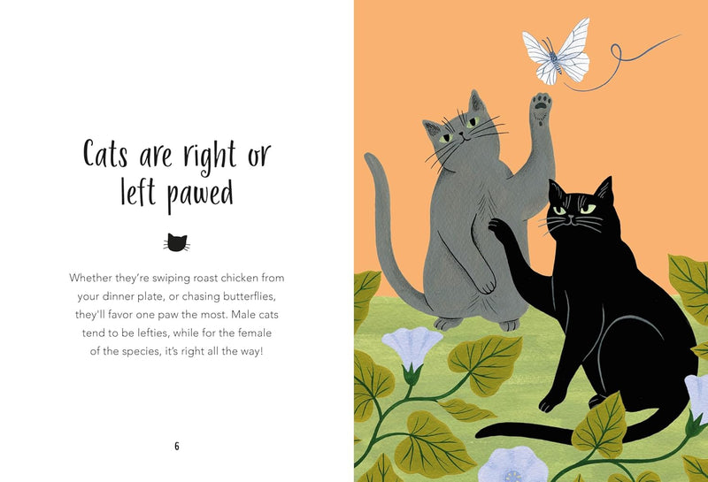 59 Things You Should Know About Your Cat