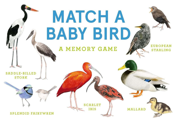 Match A Baby Bird Memory Game
