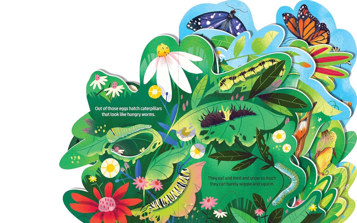 Beautiful Butterflies Layered Board Book