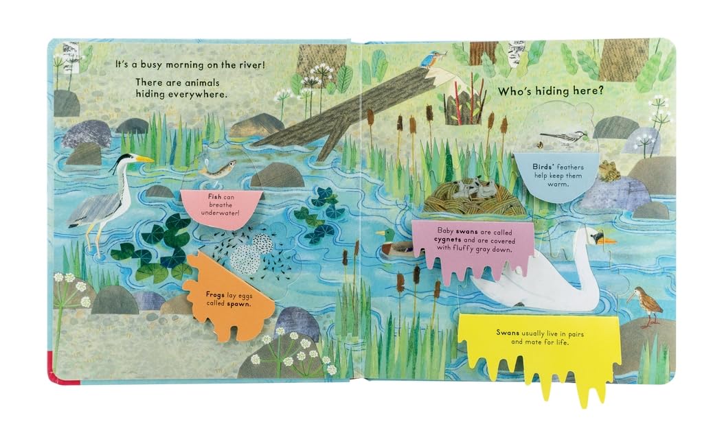 Who's Hiding On The River? Book
