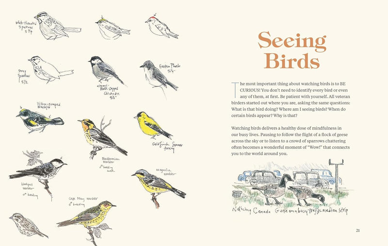 How To Look At A Bird: Open Your Eyes To The Joy