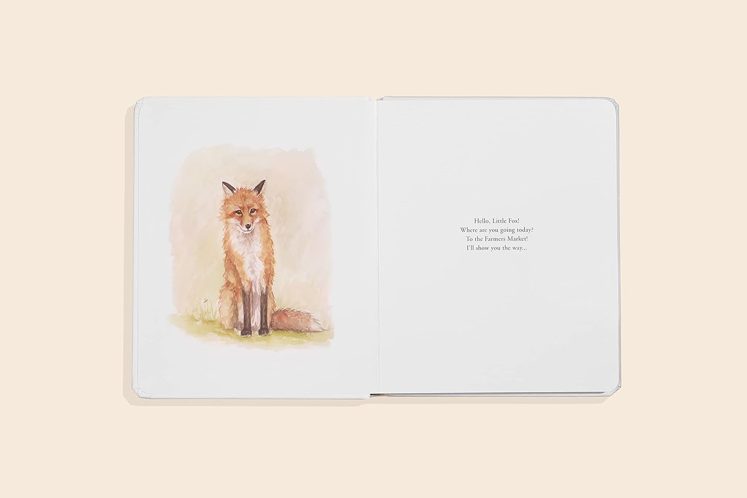 Our Little Adventure to the Farmers Market Board Book