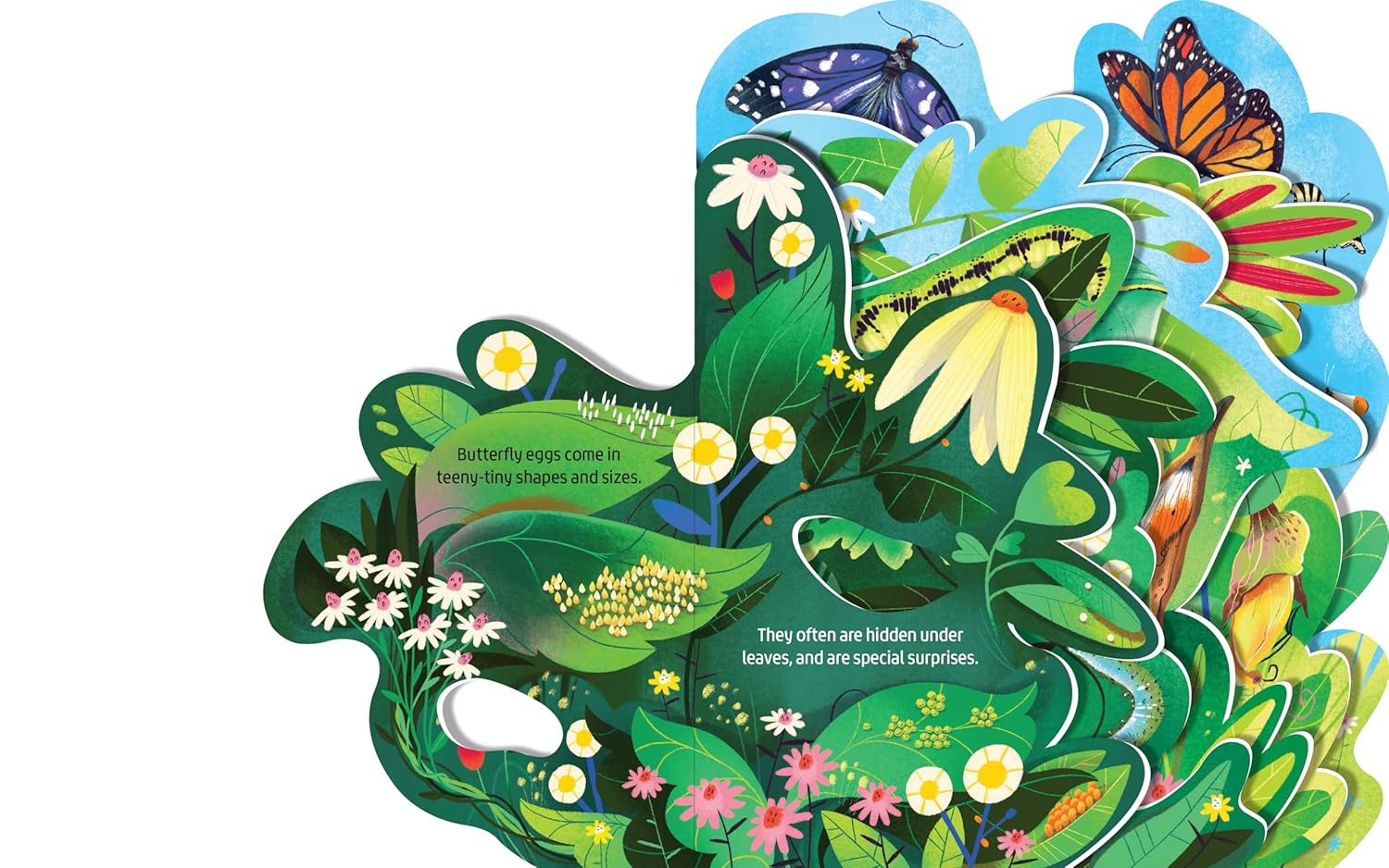 Beautiful Butterflies Layered Board Book