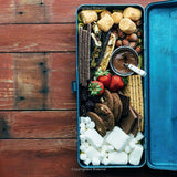 S'mores Cookbook