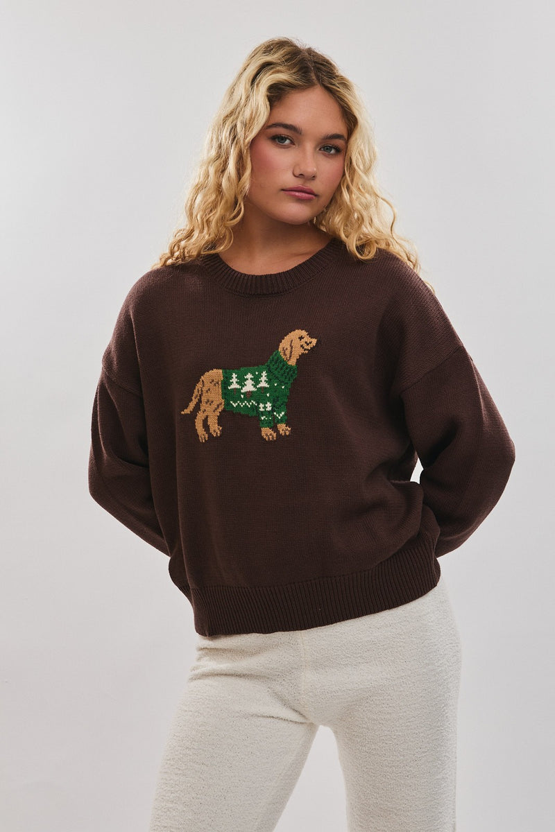 Crew Neck Christmas Dog Graphic Sweater Brown